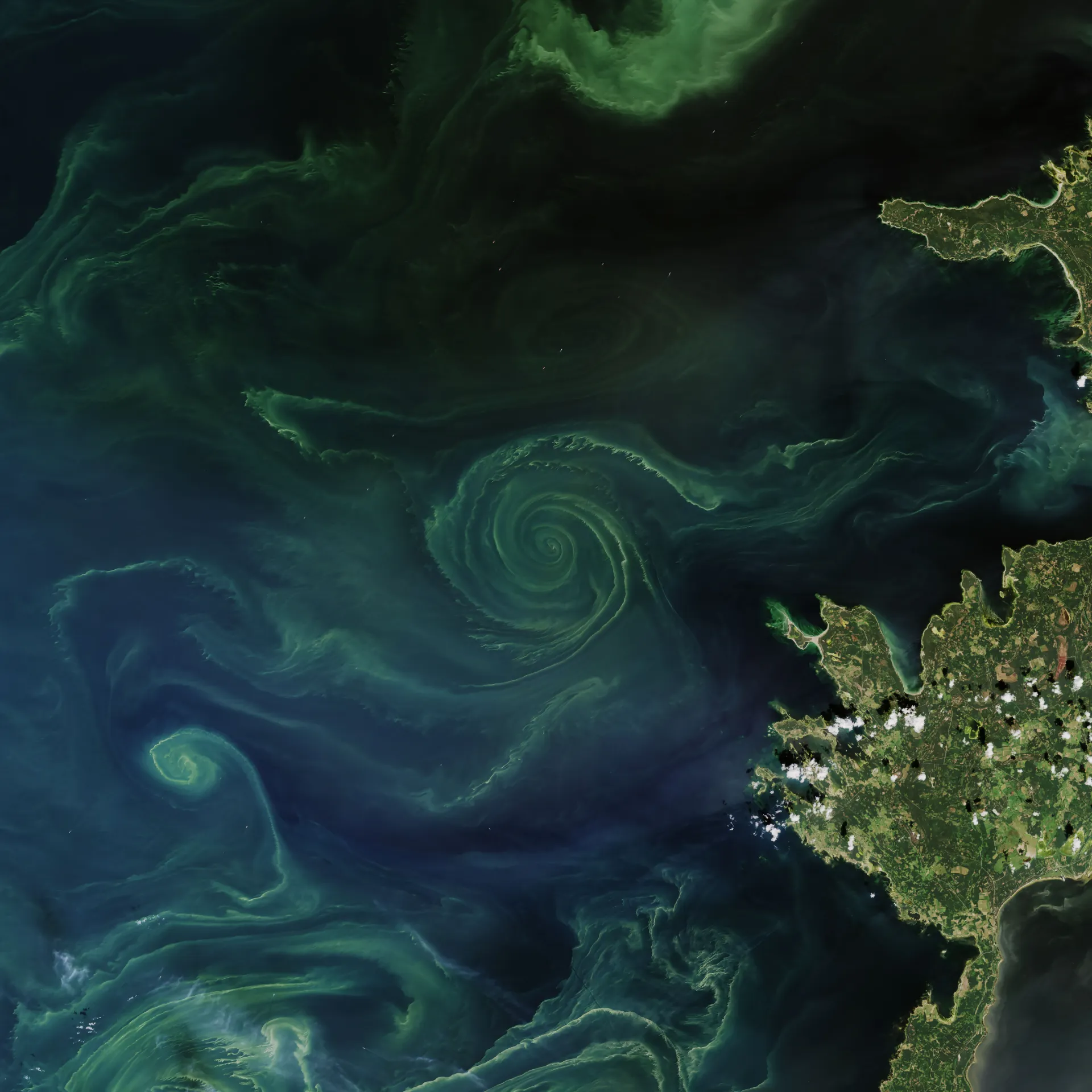 Satellite imagery of the Gulf of Finland showing water quality patterns