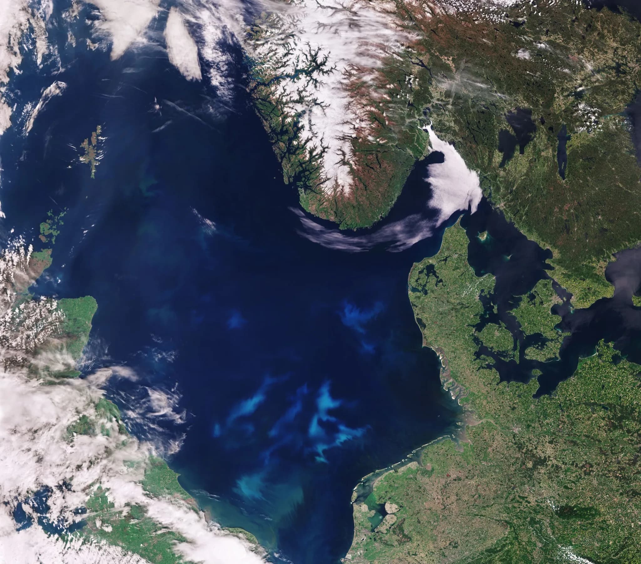 Satellite image of algal blooms in the North Sea captured by ESA Sentinel